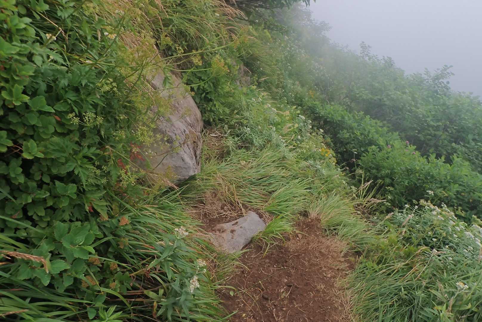 ここは、下にしっかりした踏み跡があり、行ってしまいそうになるけど、岩登るところ。