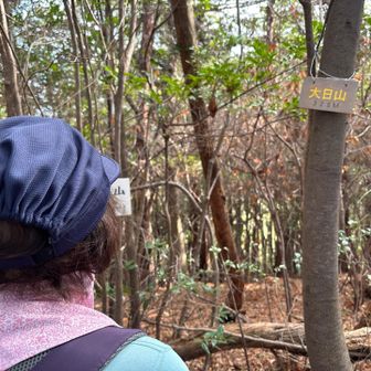 大日山に着きました