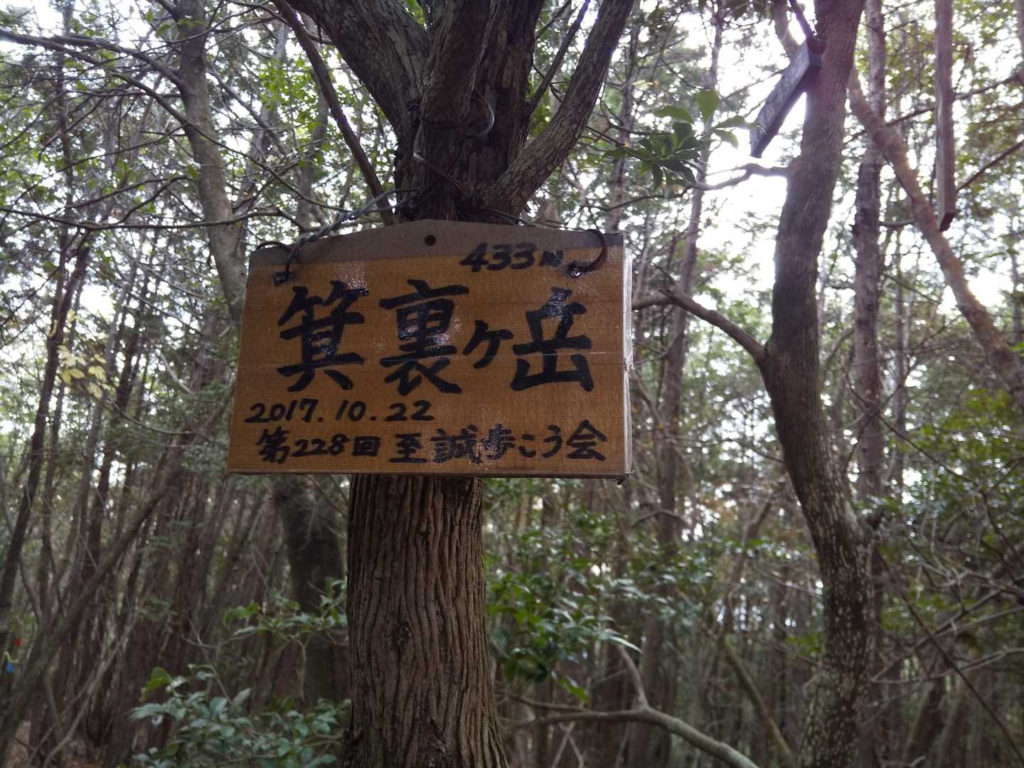 休憩されてた先のグループさんが「この先、少しばかり急だし気をつけて」といってくださる。
お礼をいって、何回か来た事もある事も次いでに告げた。
