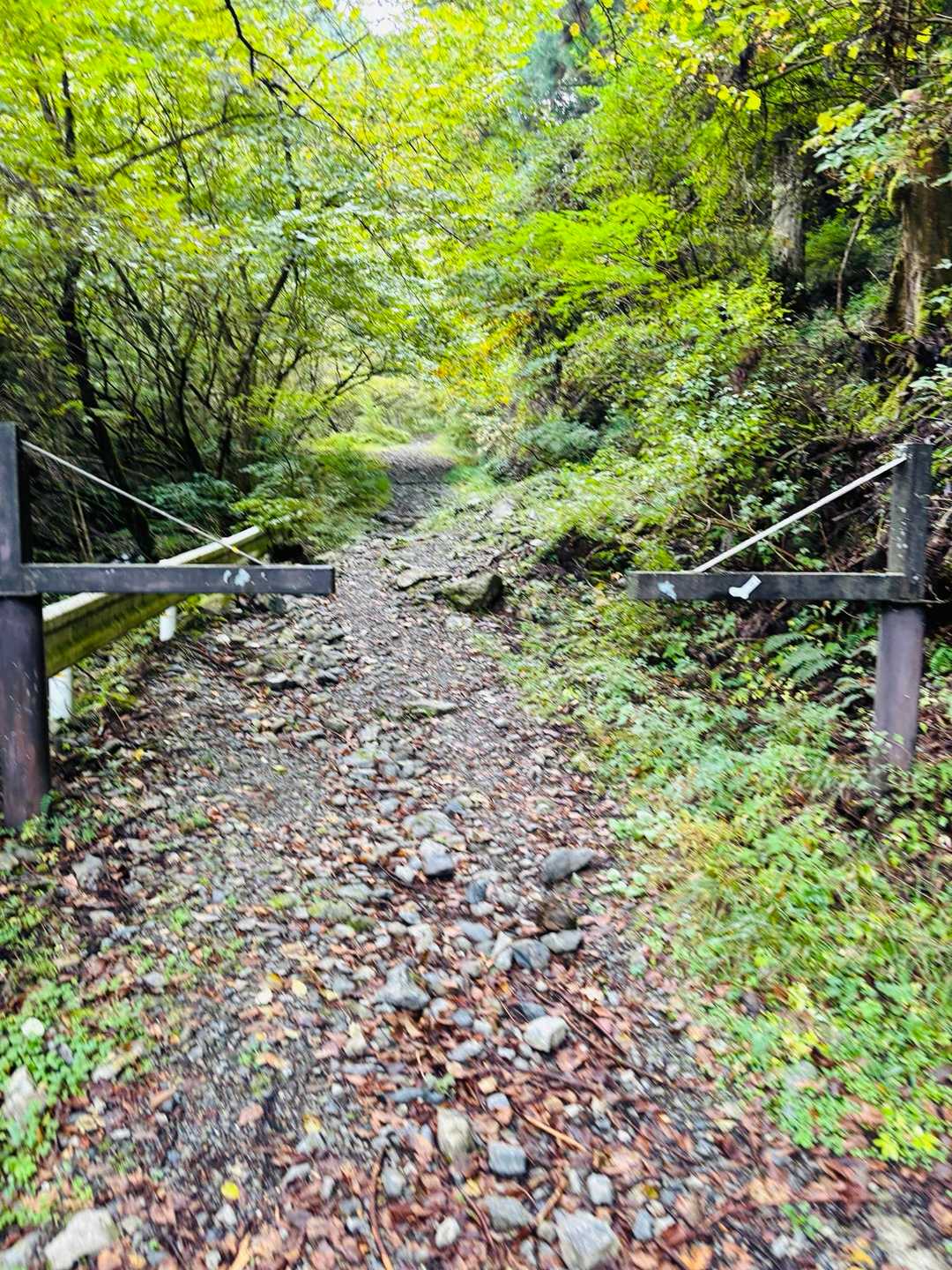 赤ゾレ山-国見山-水無山 周回コースの写真