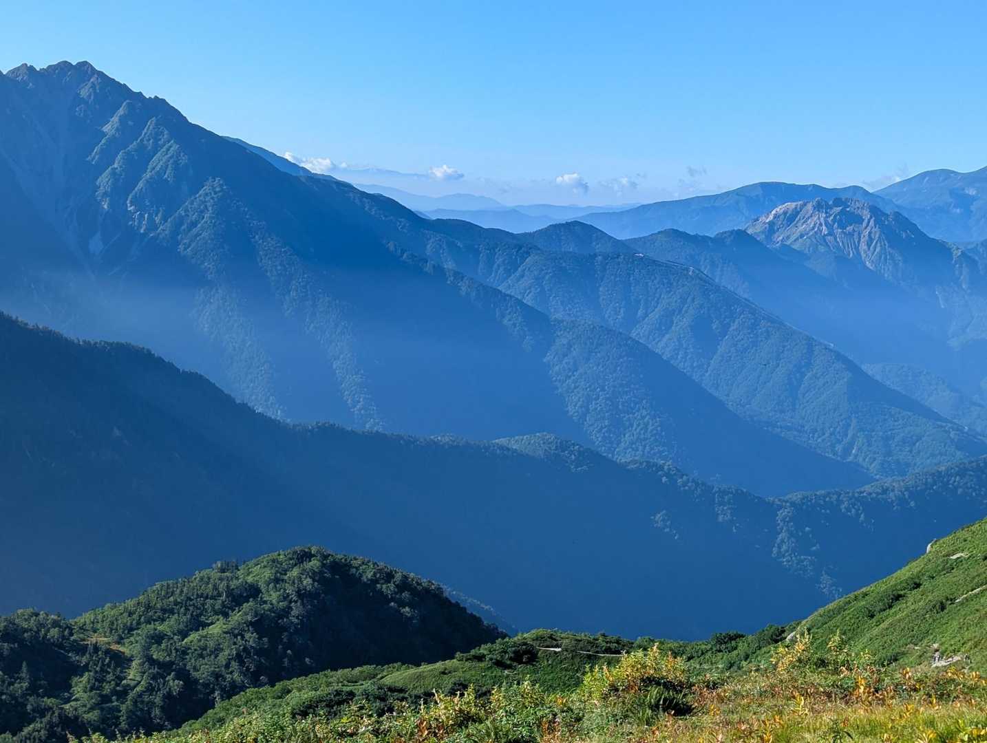 名残惜しいけれどおりますよ😊