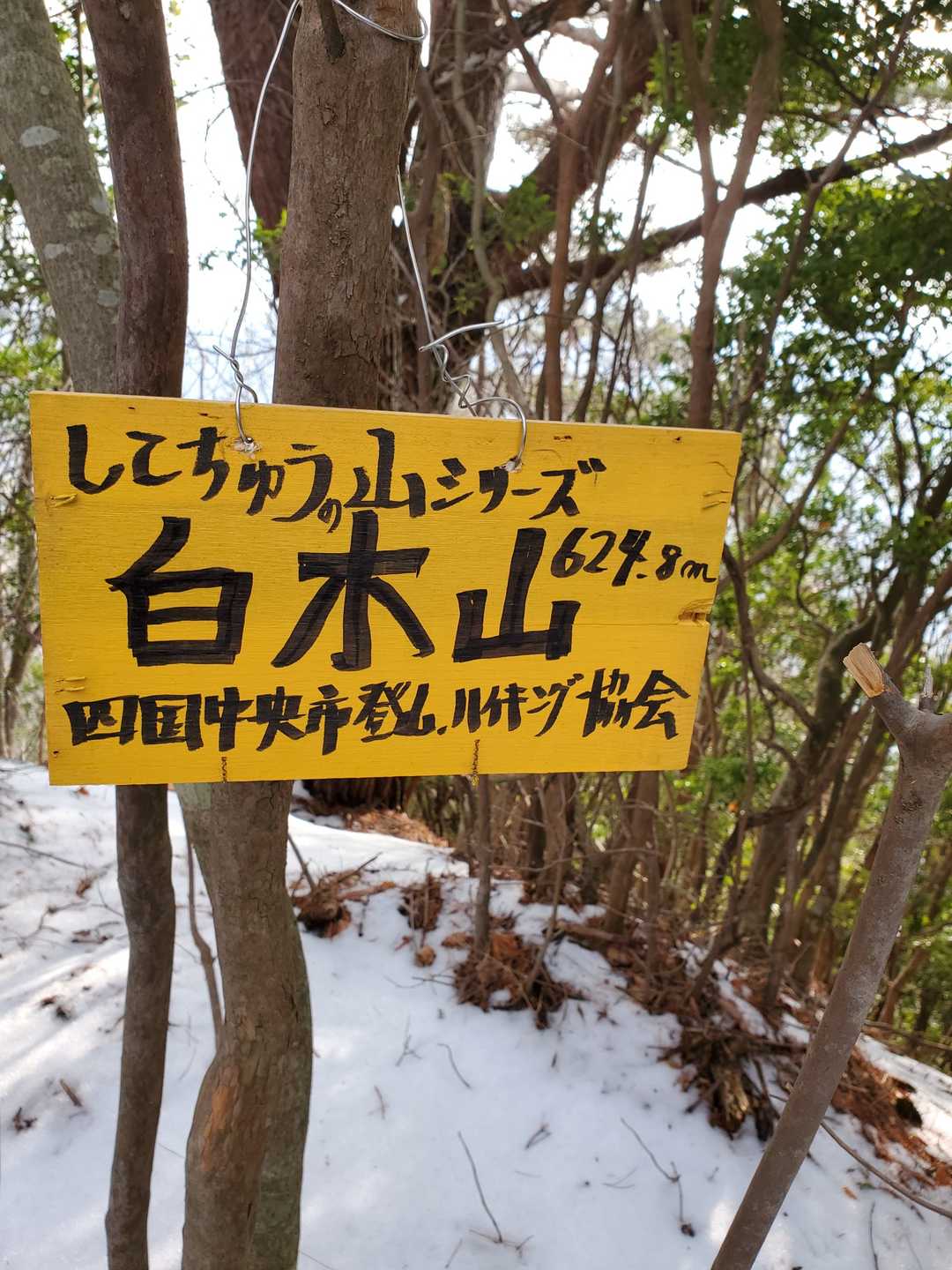 白木山 到着
会長お手製の山頂標識を木にぶら下げました。
