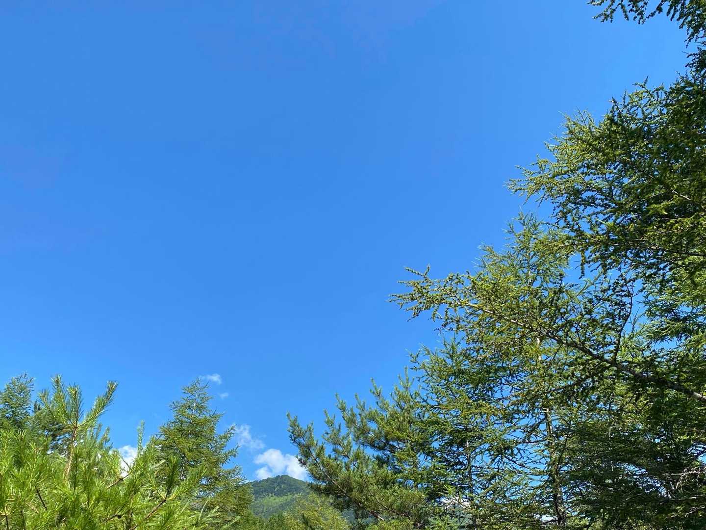 八ヶ岳ブルー🩵