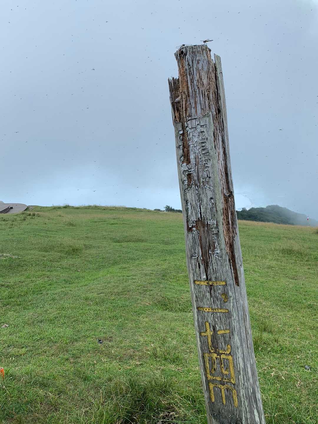 山頂到着‼️