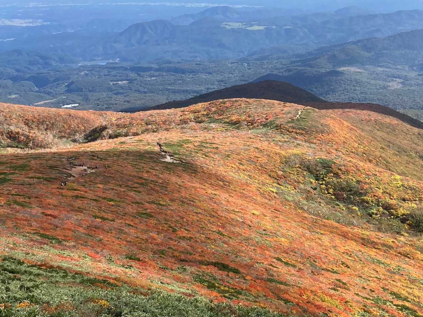 栗駒山 | 神の絨毯と称される圧倒的な紅葉美、山全体を染める極彩色のパノラマの写真