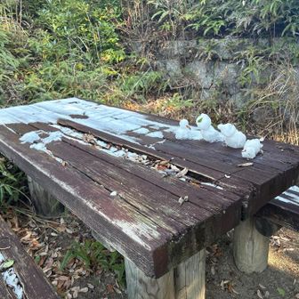 山頂付近は雪が残ってました⛄️