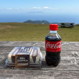 大島見ながらランチ