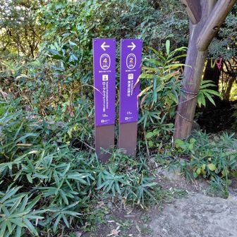 弁慶茶屋跡地で分岐
つつじヶ丘方面は左手へ
