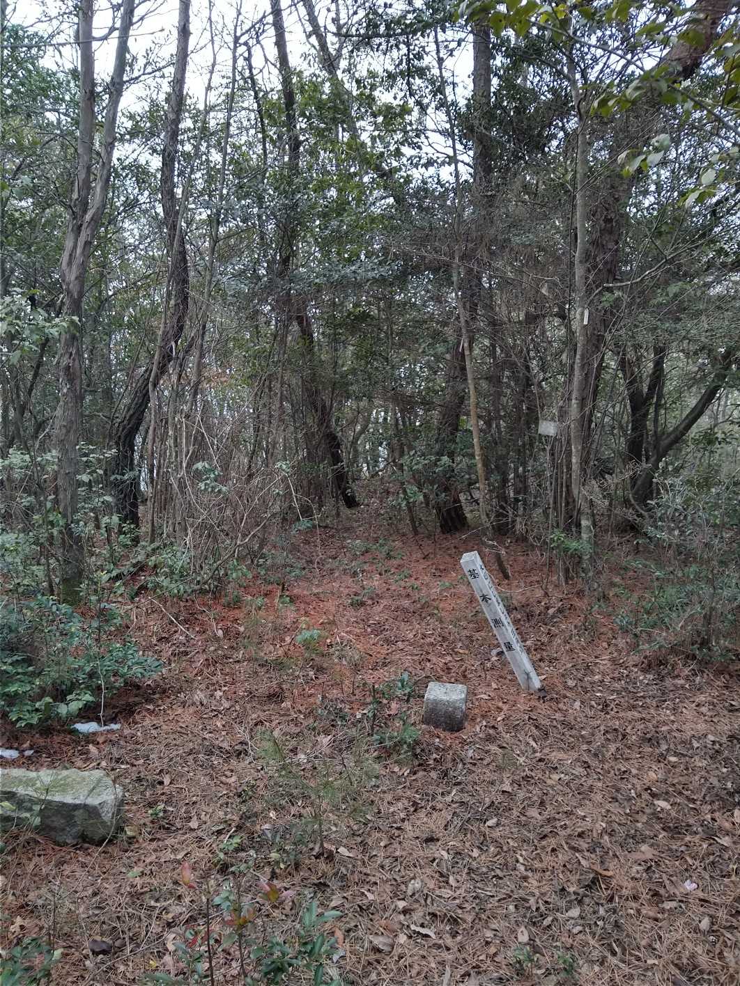 79_今度こそ蚊無奥山に着いたけど展望無し、あんまり登られる事が無さそうな寂しいピークですね😂