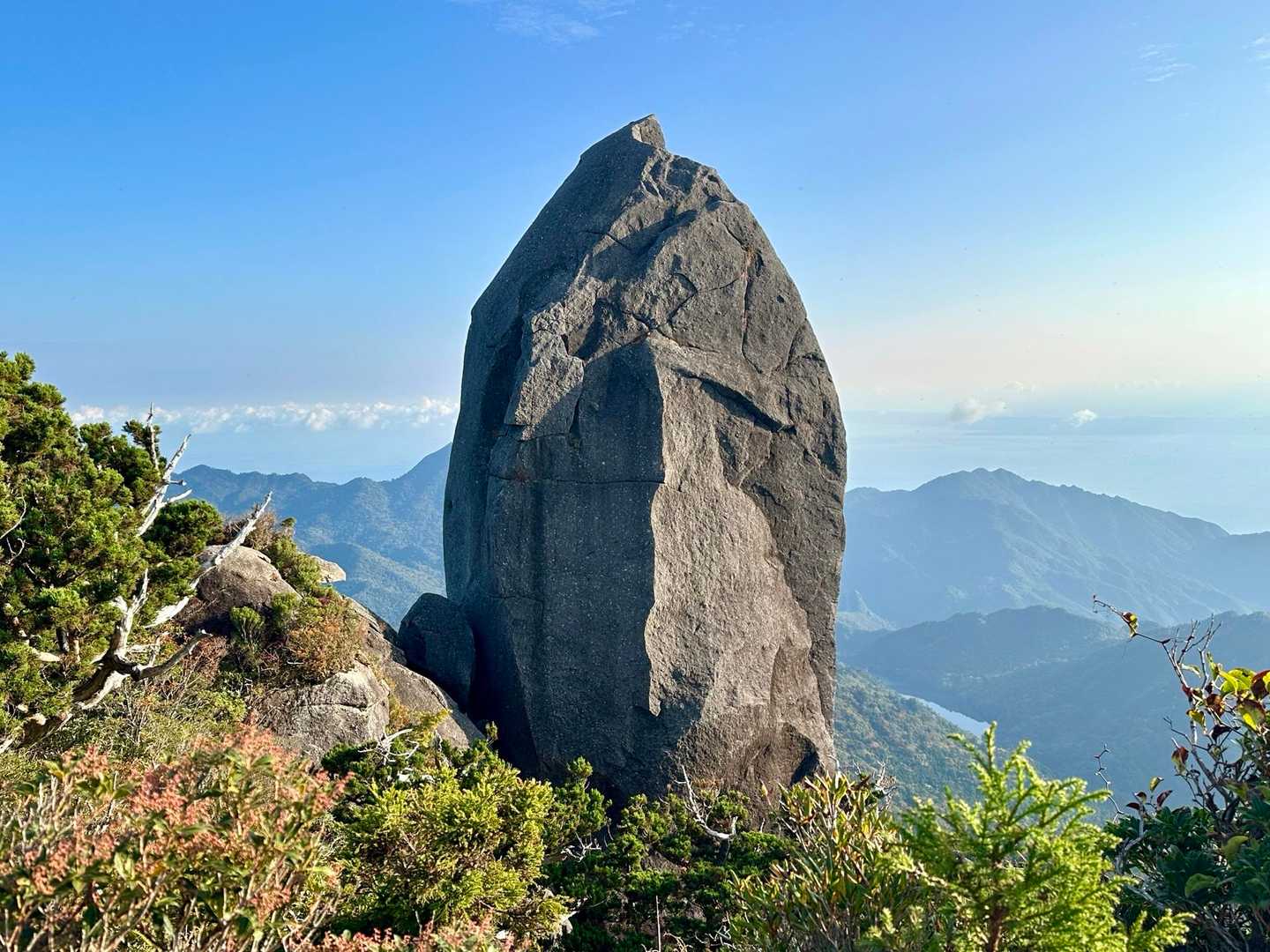 太忠岳 往復コースの写真