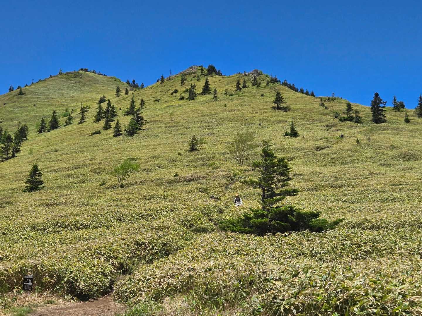 四阿山を下り、根子岳を登ります🏔

四阿山の下りが、前日の雨で泥沼化しており、この登山で唯一大変でした💦