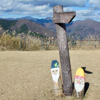 富士山は見えないがまたこの子達がいる🥳