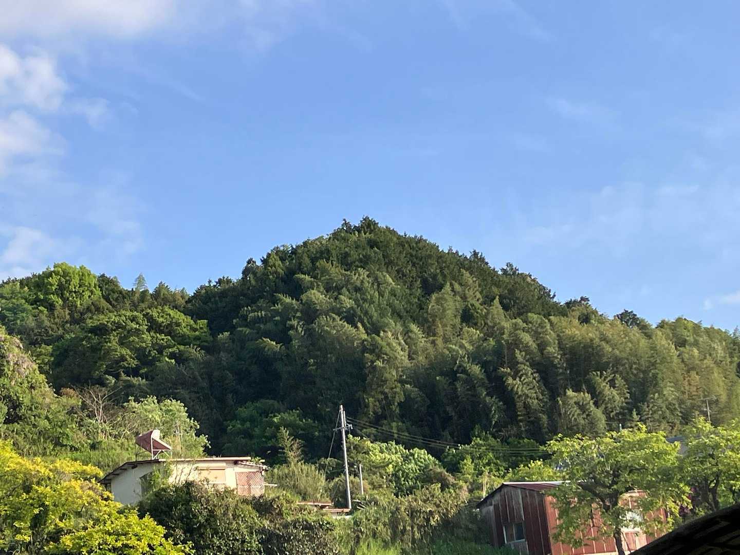 低山ながら見事な景色の金胎寺山。今日も行きます
