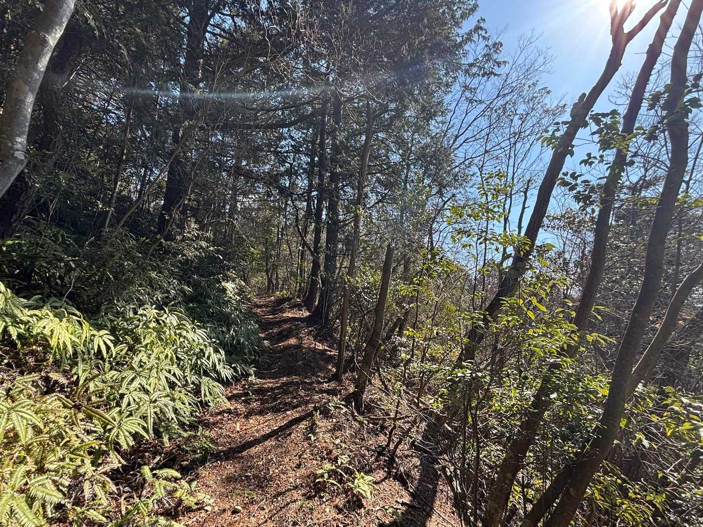 玉瀬辻バス停-古宝山 往復コースの写真
