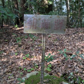 到着　展望はききません