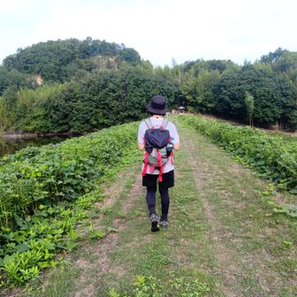 城根池の土手。