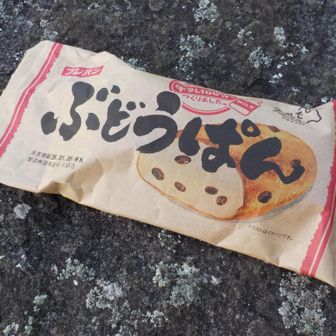 休憩-4

最後に残った
ぶどうぱん