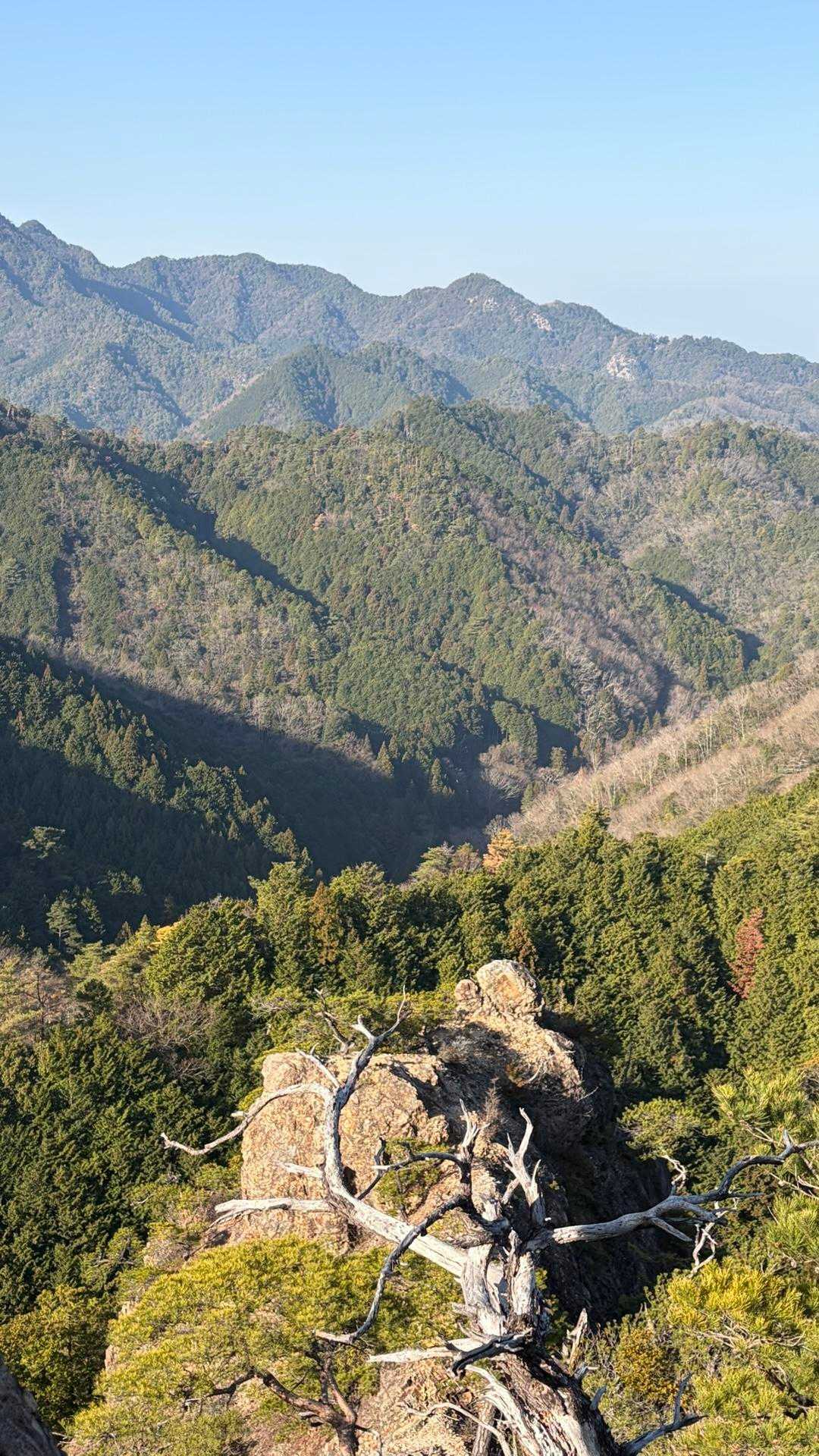 向こうに亀さんいてる🐢
あっちも行きたい！