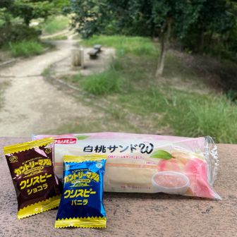 ちょっとひとやすみ
カントリーマウムの、山の日限定デジタルバッジキャンペーン開催中😆🍪
