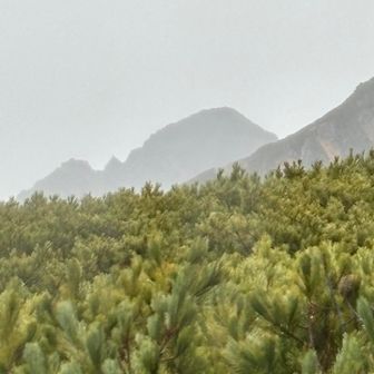 夕方に少し顔を出した剱岳。翌朝は雨模様でもしっかり拝めました！