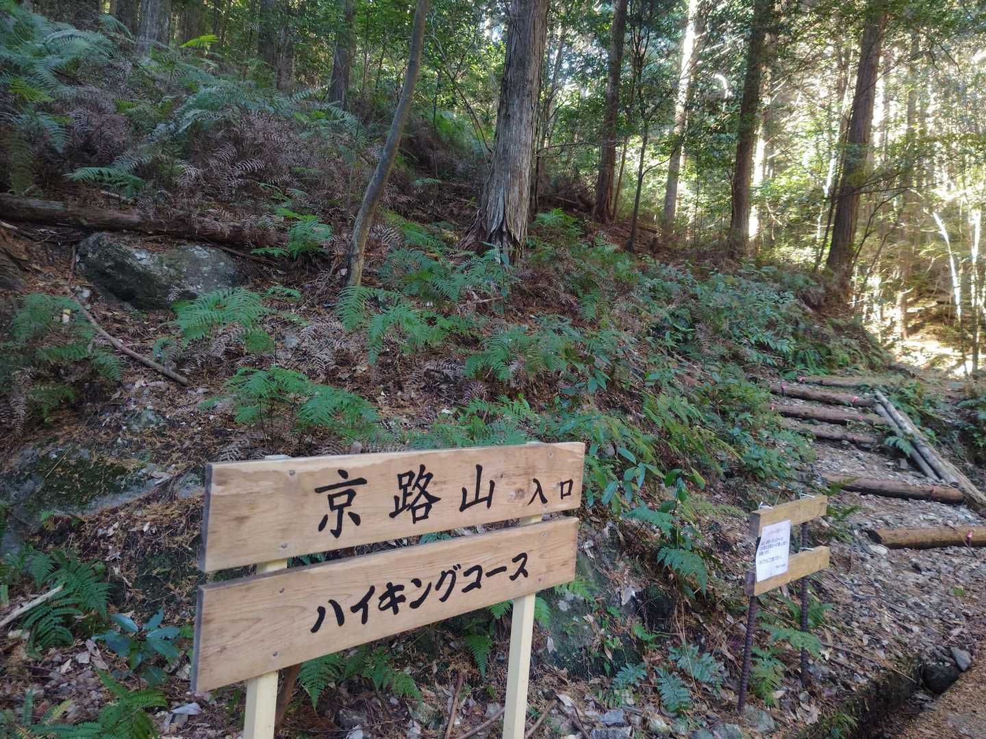 京路山登山口-京路山 往復コースの写真