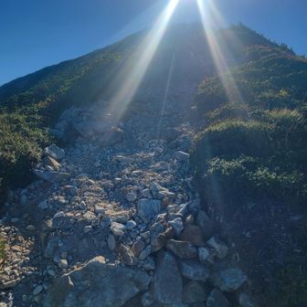 御舎利山山頂直下の四十七曲がり(勝手に命名w)の急登を登りきれば、御舎利山は後目前！