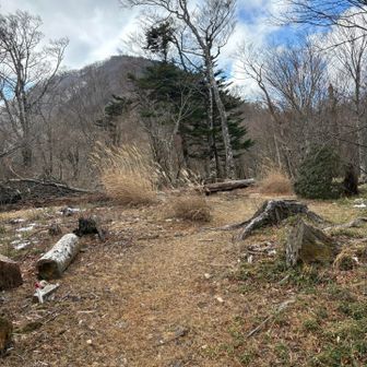 アタックザックで高塚山目指します♪
