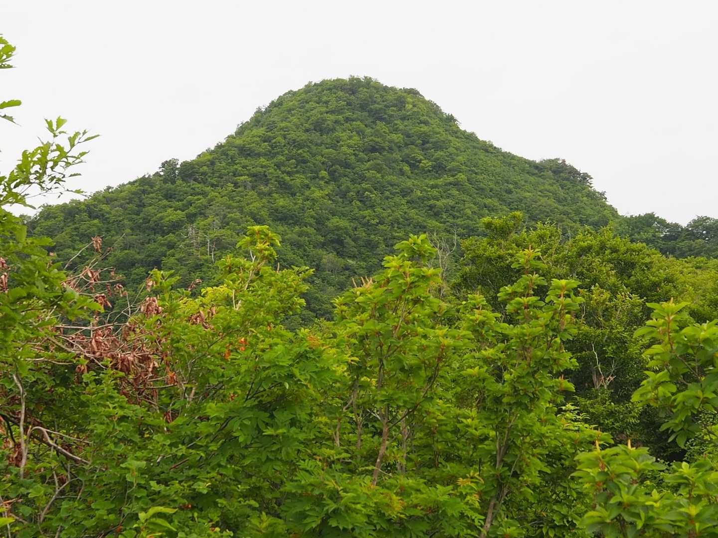 袴腰山山頂が見えてる!
