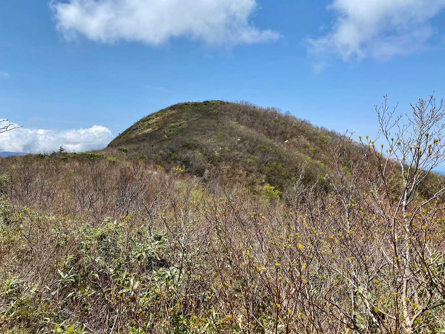 取立平から見る取立山！