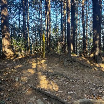 頂上はこんな感じで特になし😅