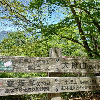 大持山♪
