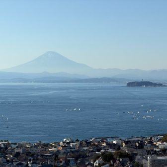 仙元山から富士山