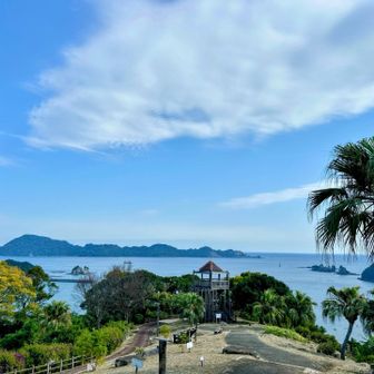 展望台よりの眺め✨️
もう12月、日南海岸は暖かい
そろそろ、、
大掃除の計画も立てねばと、、ふとw

今は残念なことに、、
ジャカランダの花の無い季節
次はお花の時期に訪れたい〜✿.*･