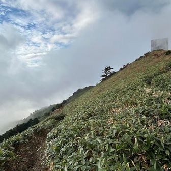堂ヶ森ガス🌬️