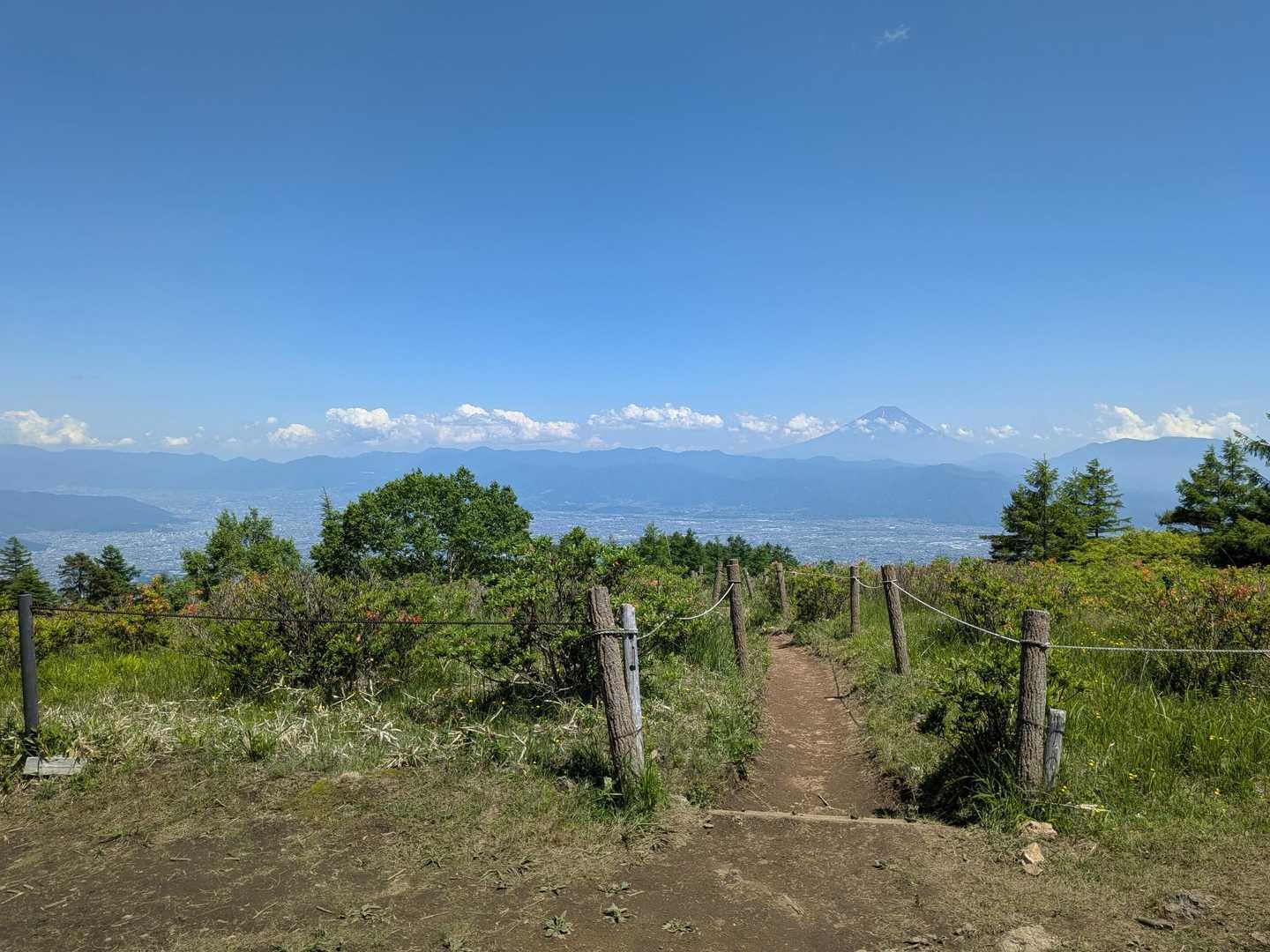 甘利山登山口-甘利山 往復コースの写真