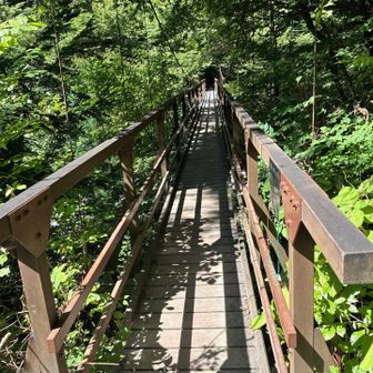 吊り橋．定員5名とありましたが一人歩いただけで結構揺れました．