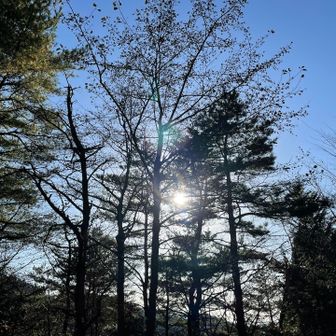 
⛰️御在所岳に登ってから
約１年かけて
ようやく鈴鹿7️⃣
踏破できました・・😃


その間、
色んなお山へ行き🥾

時には雪山❄️も登り

スキー⛷️もしたり

テント泊🏕️したり・・


とっても
とっても
楽しかったです・・

お山には
色んな魅力がありますね


キツくて
しんどくて

もうやだ〜🥲

なんて時もあるけれど

山は
いい。



特にこの鈴鹿7️⃣は
年内にコンプするのが
目標でした

今日達成できて
本当に嬉しいです



怪我もなく、
無事に達成できたのは
Ｐのお陰です・・

🔺本当にありがとう。



まだ
鈴鹿🔟


いや、
300座まであるとか・・・🤣🤣🤣


まだまだ
頑張るわよ〜😆😆😆






最後までお読み頂き
ありがとうございました🤗



