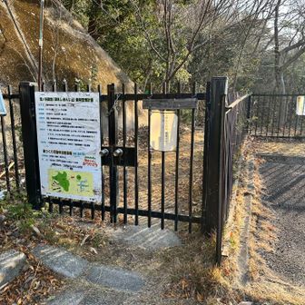 ここから入るよ