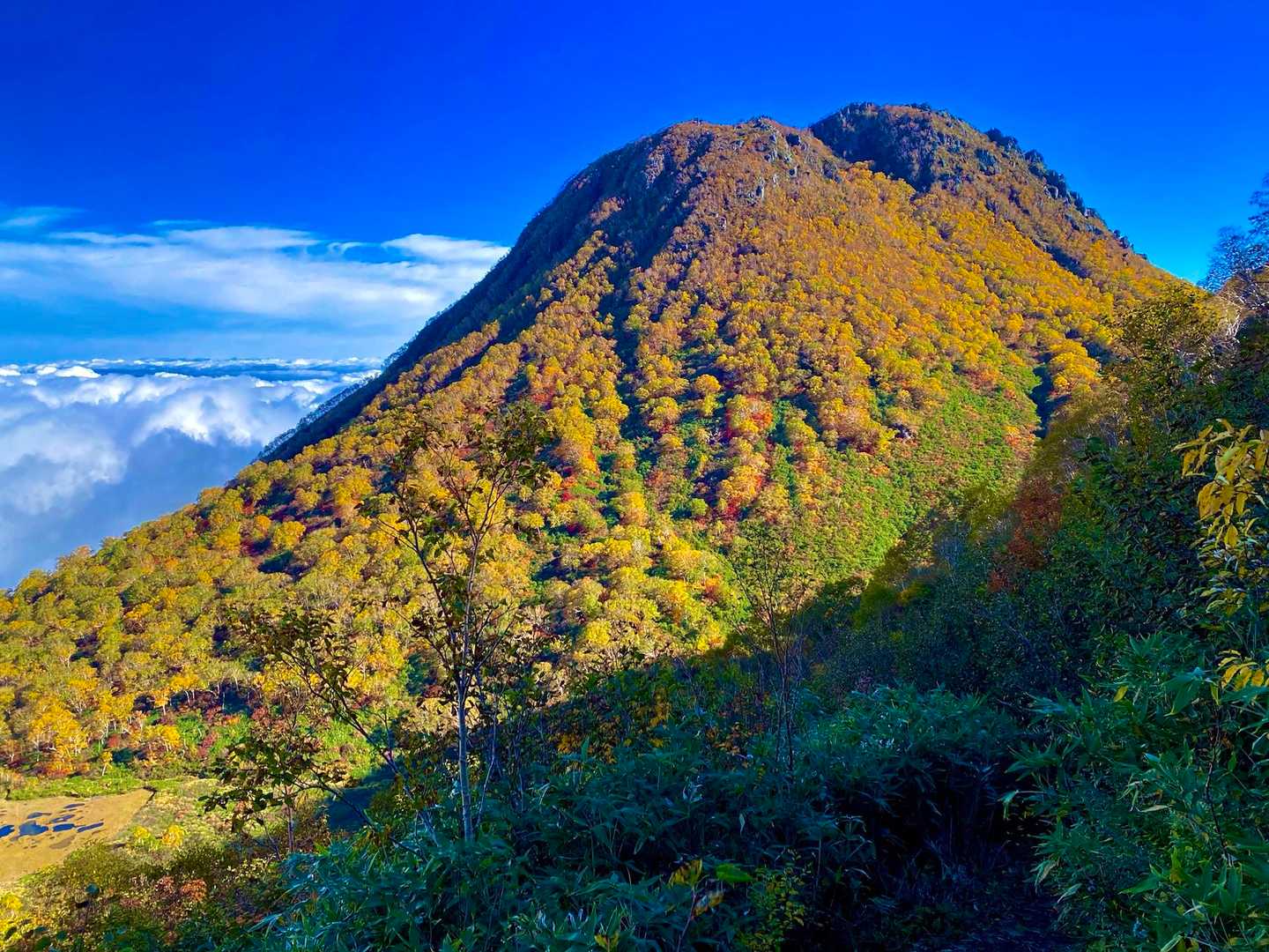 妙高山は、これで見納めです。
この素晴らしい紅葉を、目に焼き付けました。
カルデラ、溶岩ドームと苦労しましたが、とても印象に残る素晴らしい山でした。