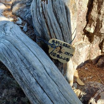 瑠璃山の山頂🪨