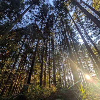 冬の日の傾きの早さに少しだけドキドキしつつ
