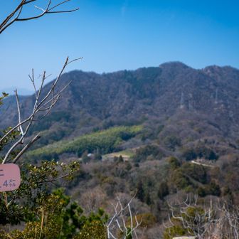 登頂
山頂標識はないみたい