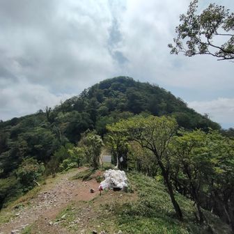 お宝沢山ある、いただきます🤣
