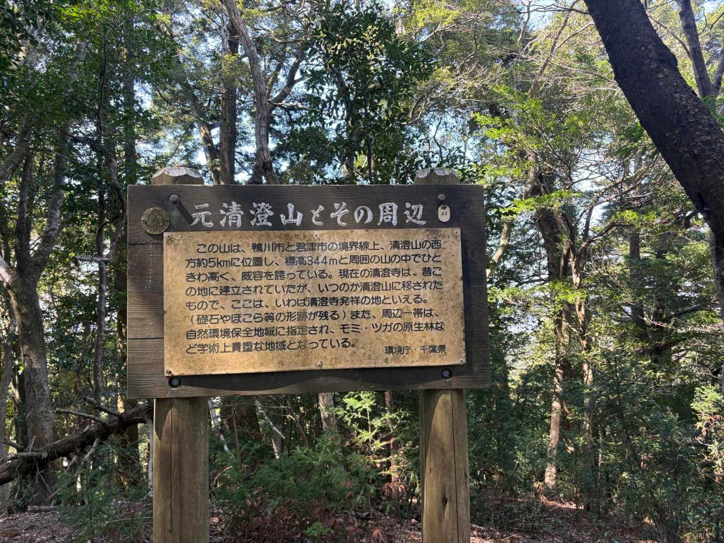 山頂！