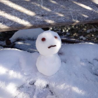 来年もよろしくねー⛄️⑥