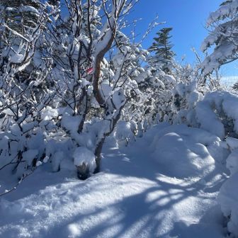 ピンテが愛おしい