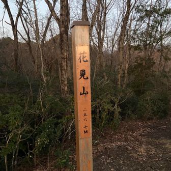 やってきたのは花見山（約260m）。弁天山や城山と並び「網代三山」として親しまれる里山です。 