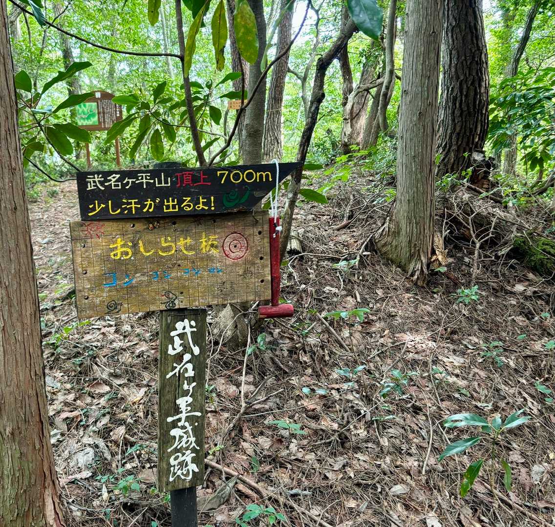 ここから激下り↘︎ からの激登り↗︎ です💦
ロープと階段が整備されてます