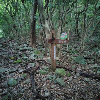 分岐。ここまで来るもなかなか大変だった。