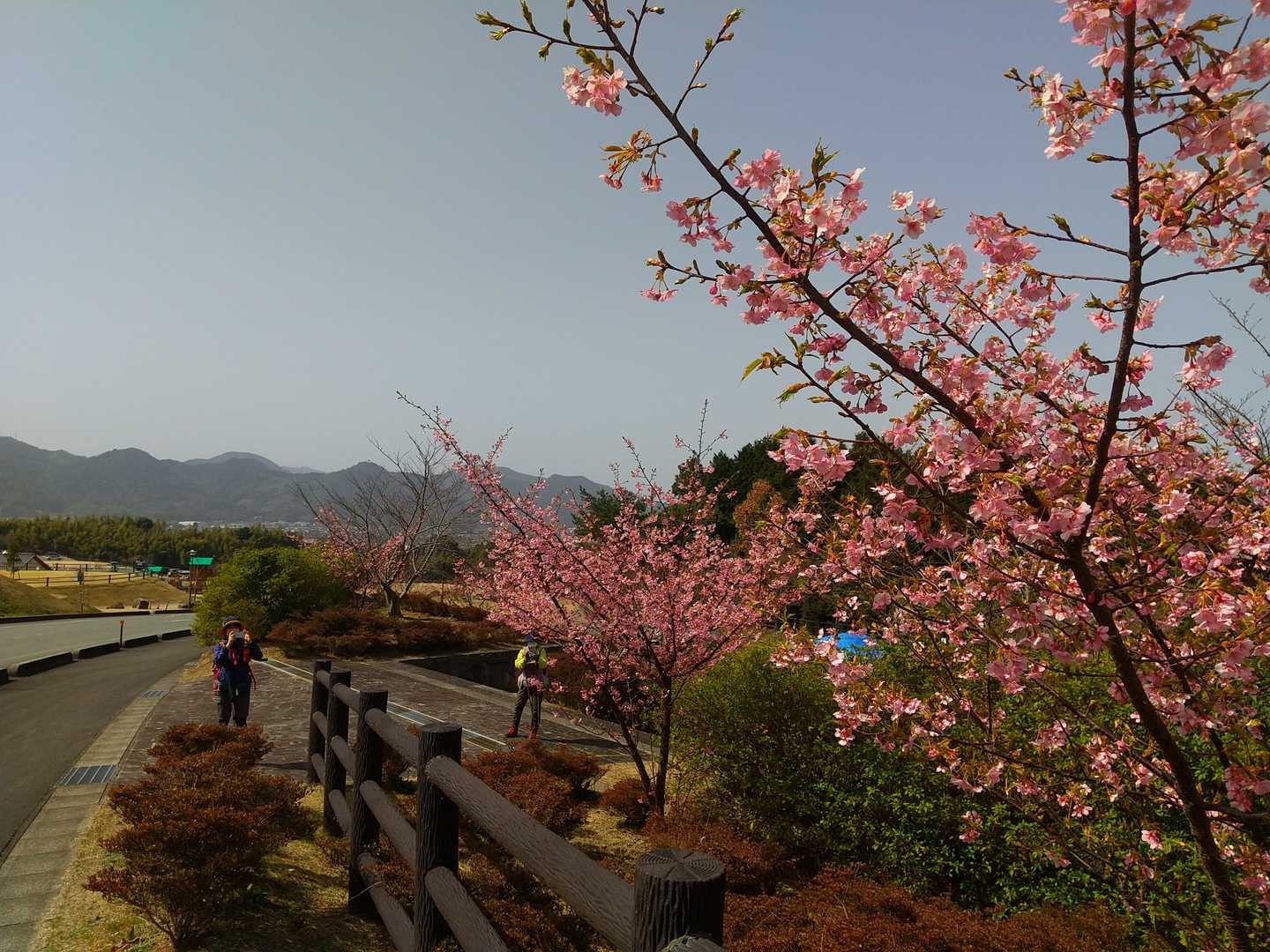 田床山 往復コースの写真